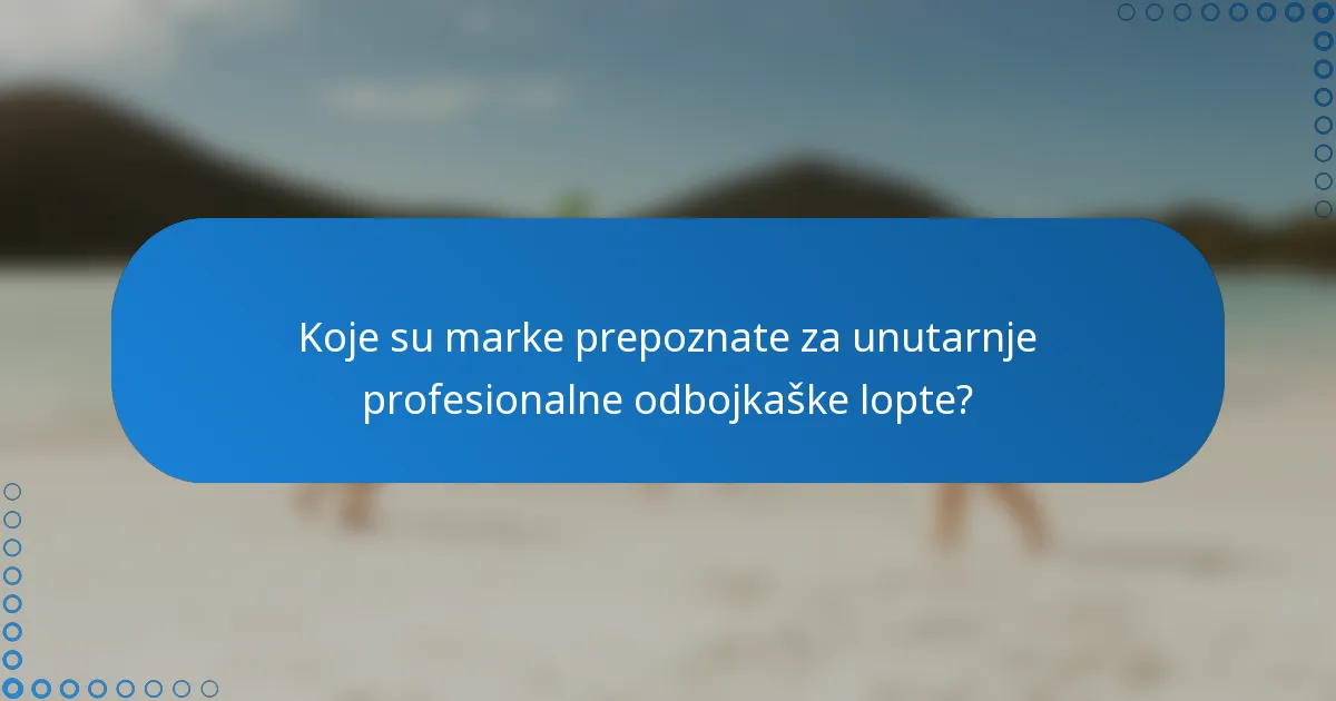 Koje su marke prepoznate za unutarnje profesionalne odbojkaške lopte?